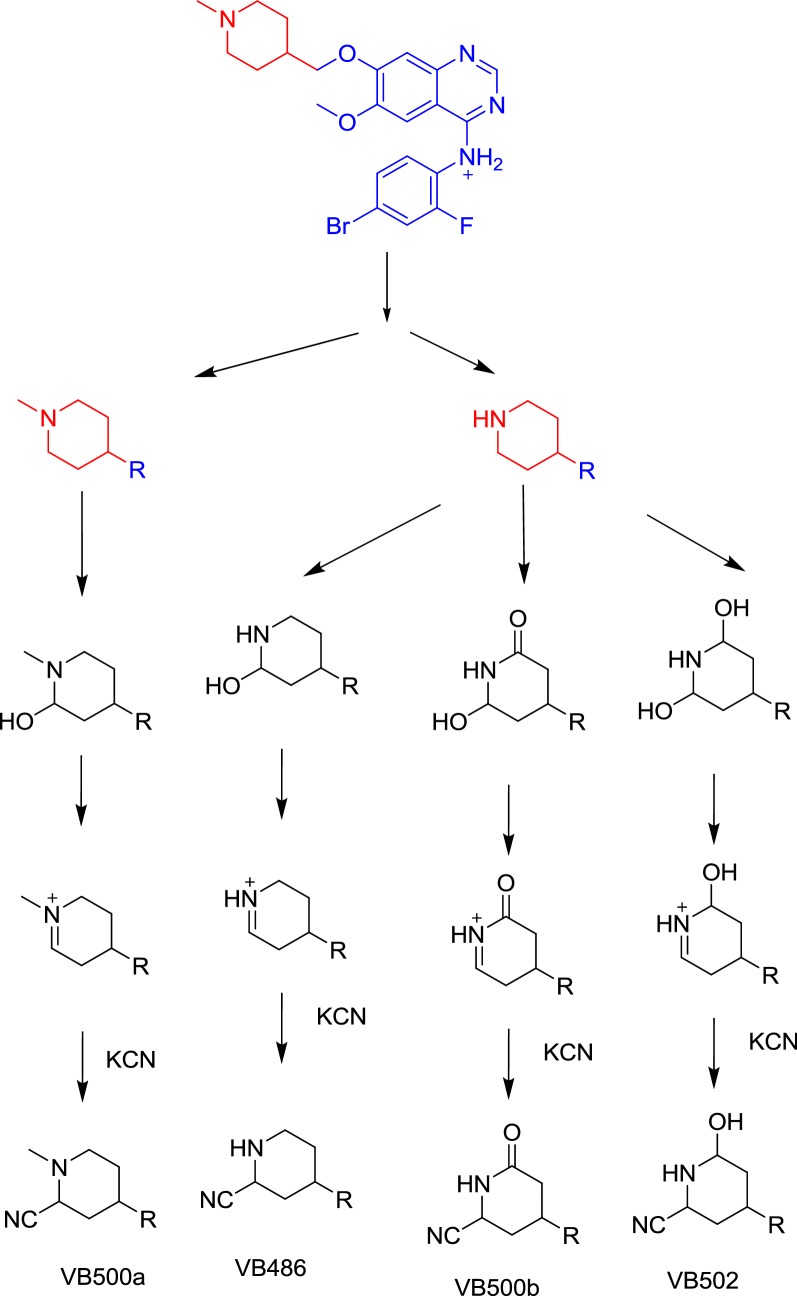 Scheme 12