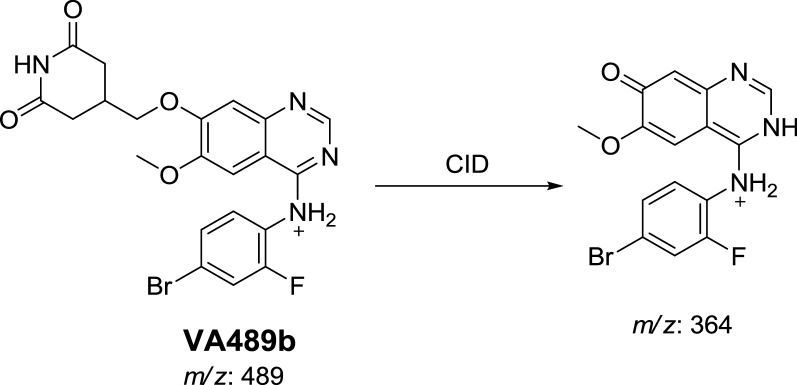 Scheme 5