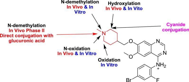 Fig. 10