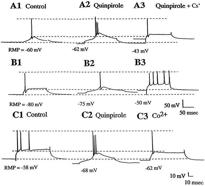 Fig. 9.