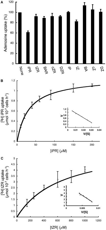 Figure 6.