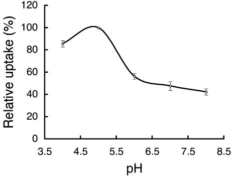 Figure 5.