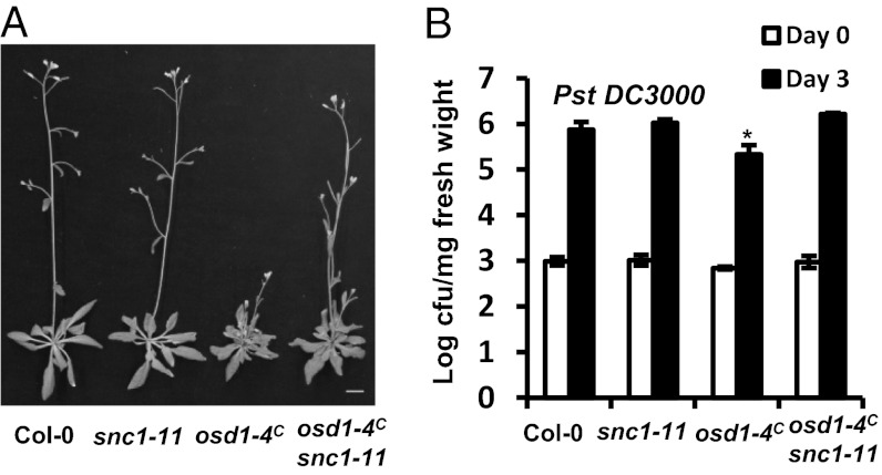 Fig. 6.