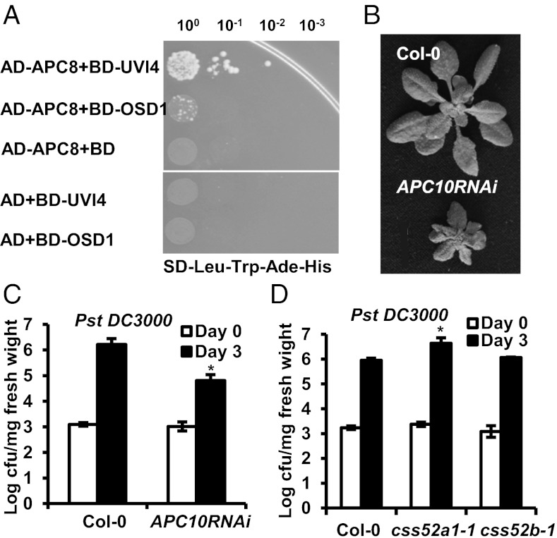 Fig. 4.