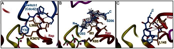 Figure 5