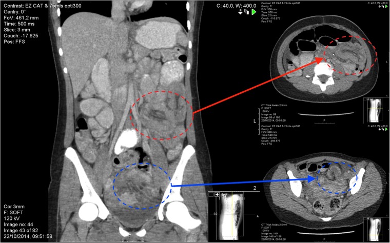 Figure 2