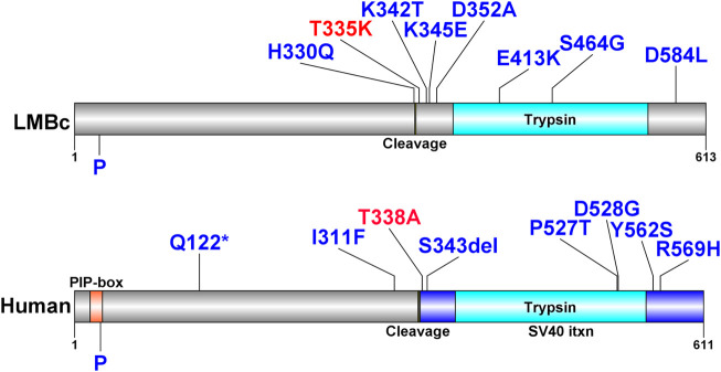 FIGURE 7