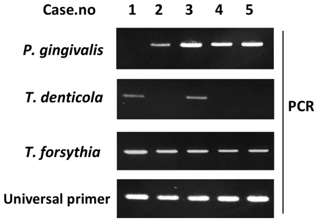 Figure 4.