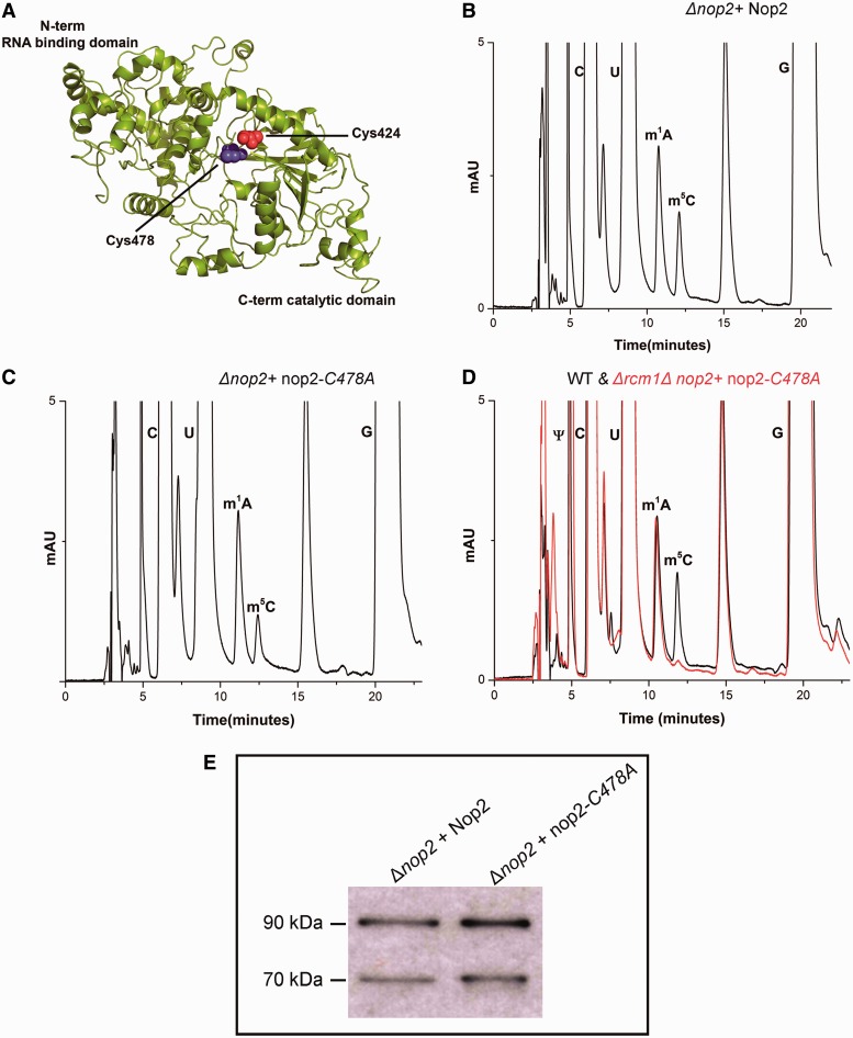 Figure 6.