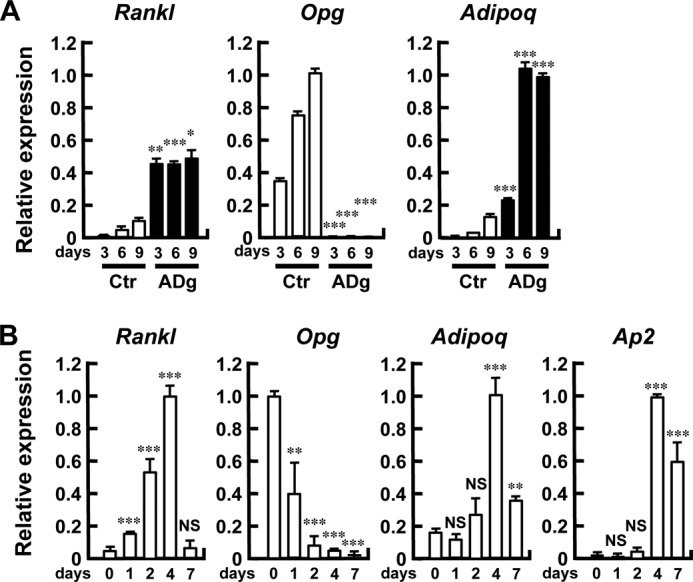 FIGURE 4.