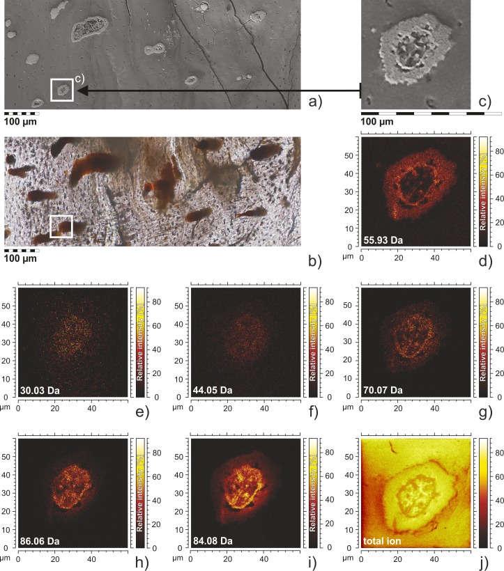 Fig 3