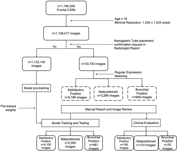 Flowchart shows the dataset selection process. Age and resolution filtering was applied to 1 146 209 frontal chest radiographs (CXRs). Of these, 1 132 142 images were selected for neural network pretraining, and 33 730 images were manually retained for training nasogastric tube positioning models. Nasogastric tube models were trained and tested on 7081 manually labeled chest radiographs (model training and testing set), and model efficacy as a feed/do not feed decision support tool was assessed on a separate set of 335 chest radiographs labeled by three radiologists and five junior physicians (clinical evaluation set).