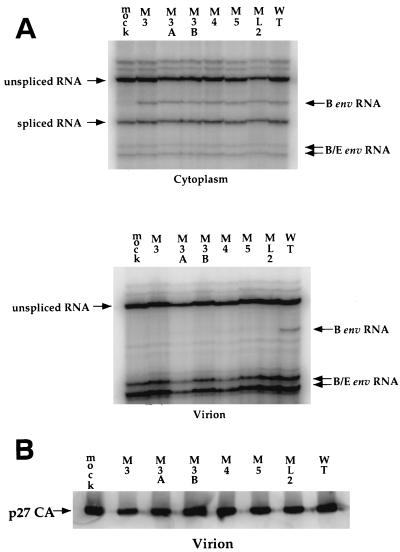 FIG. 9