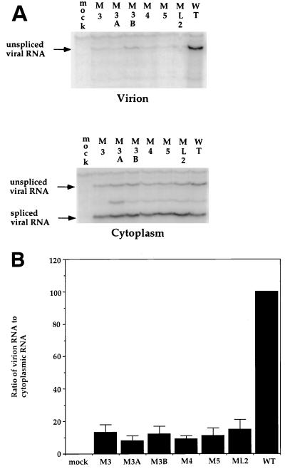 FIG. 7