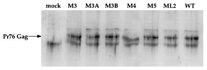 FIG. 6