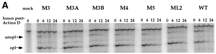 FIG. 5