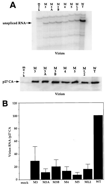 FIG. 8