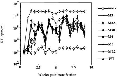 FIG. 3