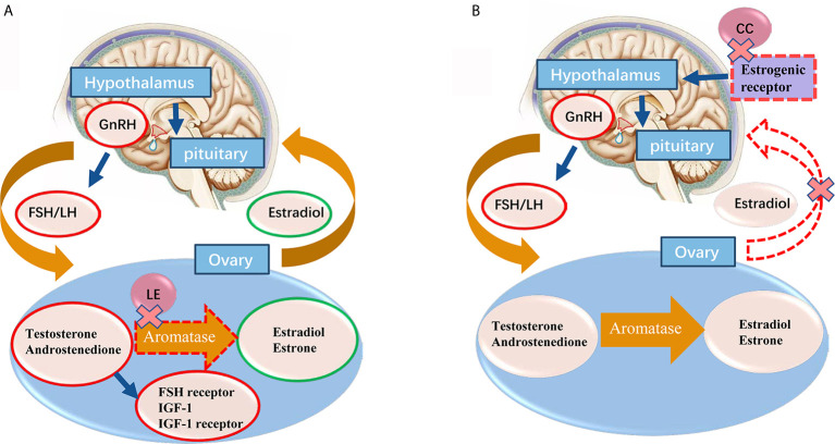 Figure 1