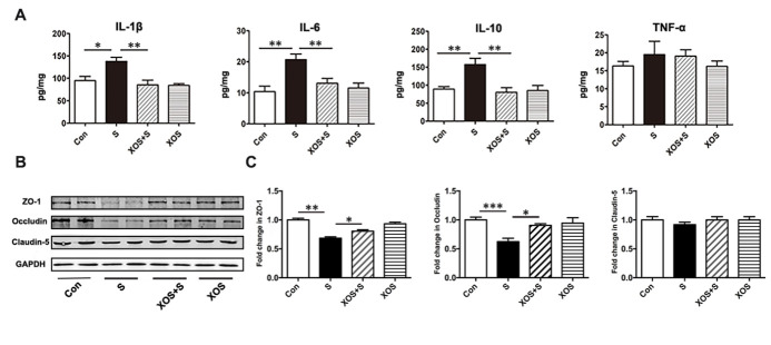 Figure 5.