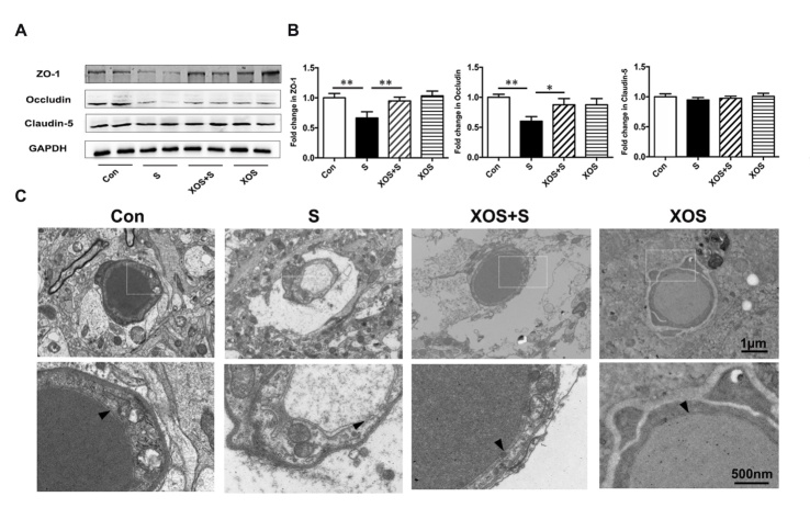 Figure 6.