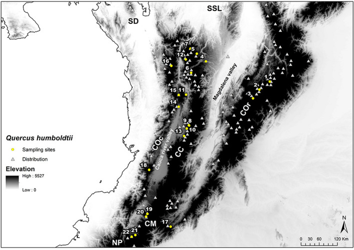 FIGURE 2