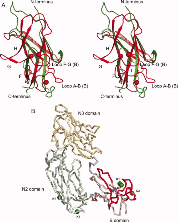 Figure. 5