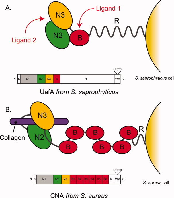 Figure. 7