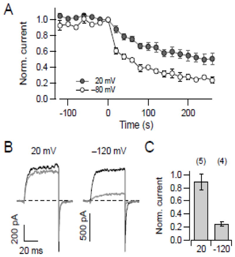 Fig. 8