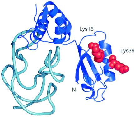 FIG. 5.