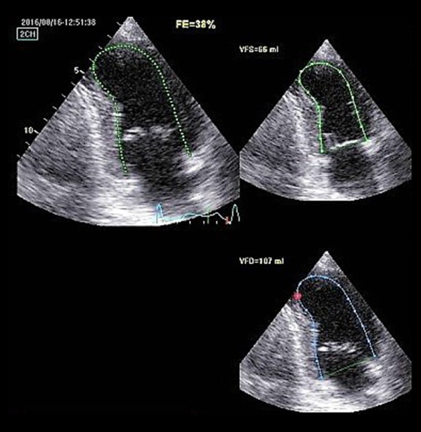 Figure 1.