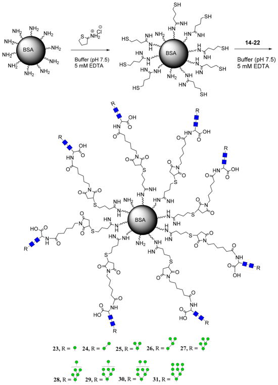 Scheme 4