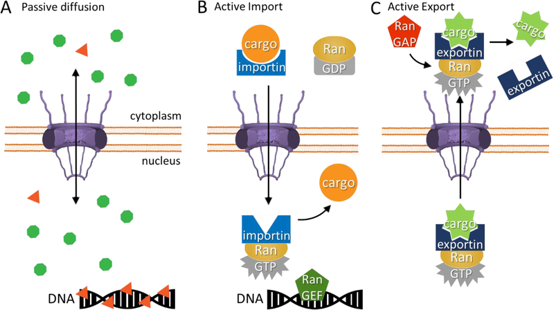 Figure 2: