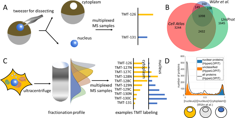 Figure 1: