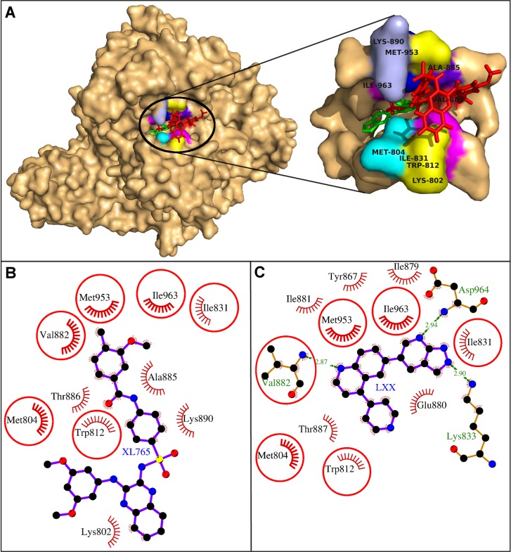 Fig 2