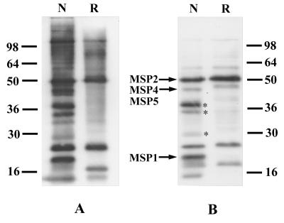 FIG. 7