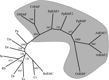 FIGURE 2.