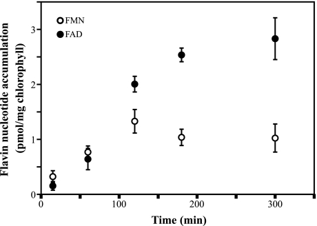 FIGURE 7.