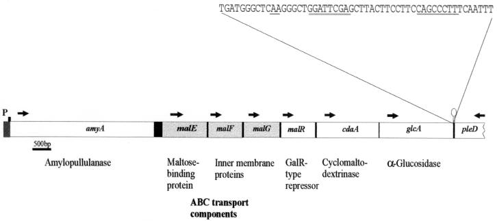 FIG. 8