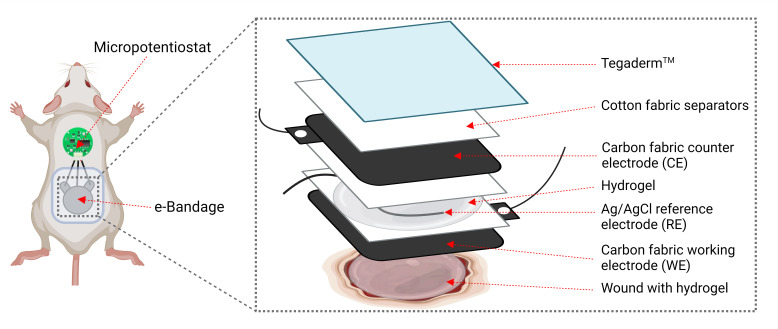 Fig 1