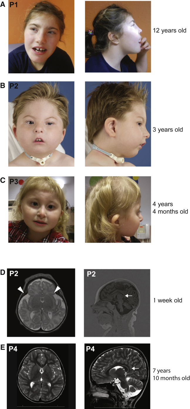 Figure 1