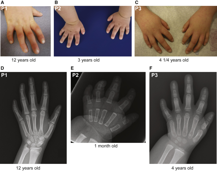 Figure 2