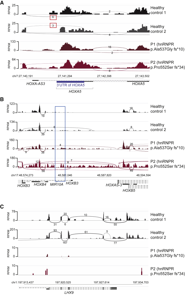 Figure 6