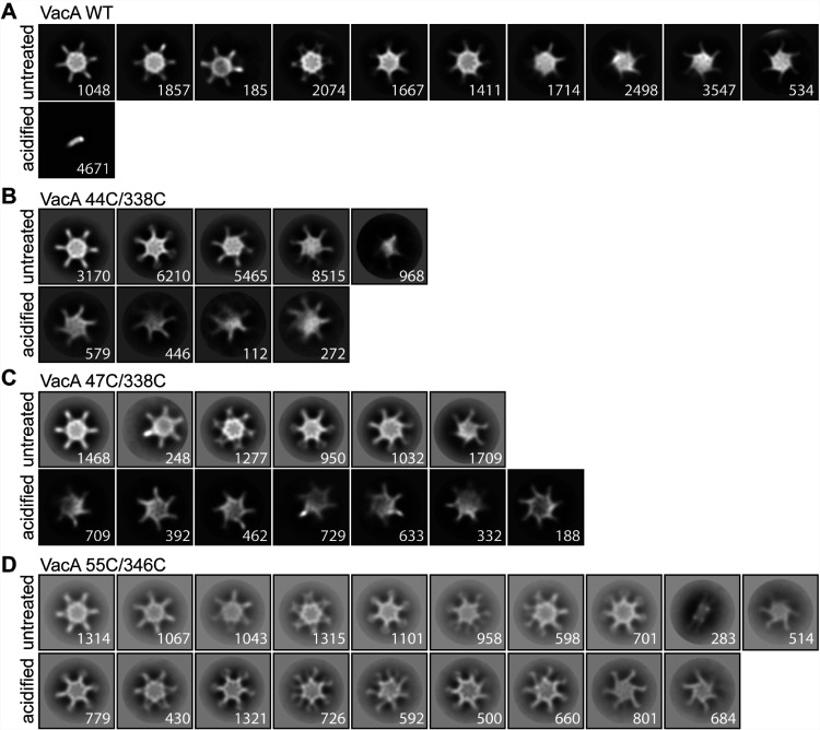 FIG 6