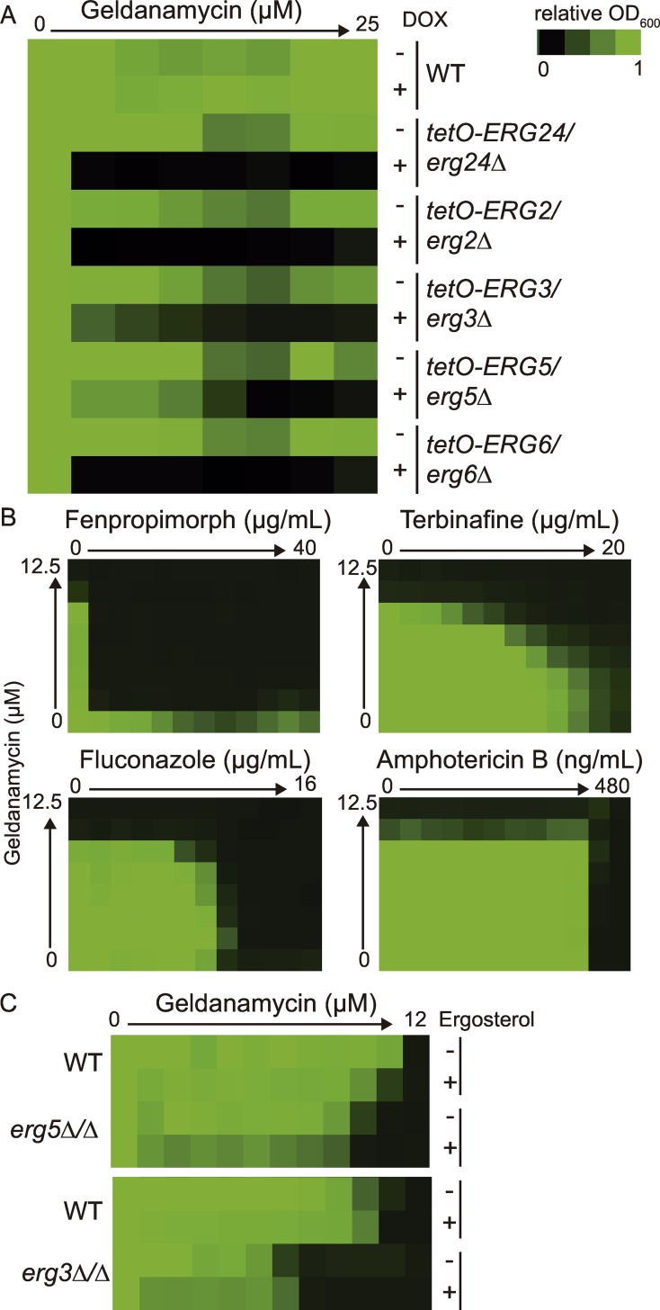 Fig 4