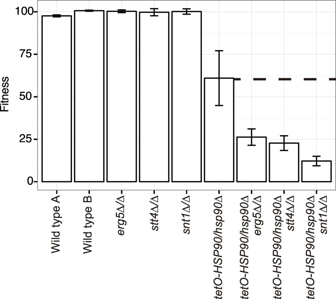 Fig 2