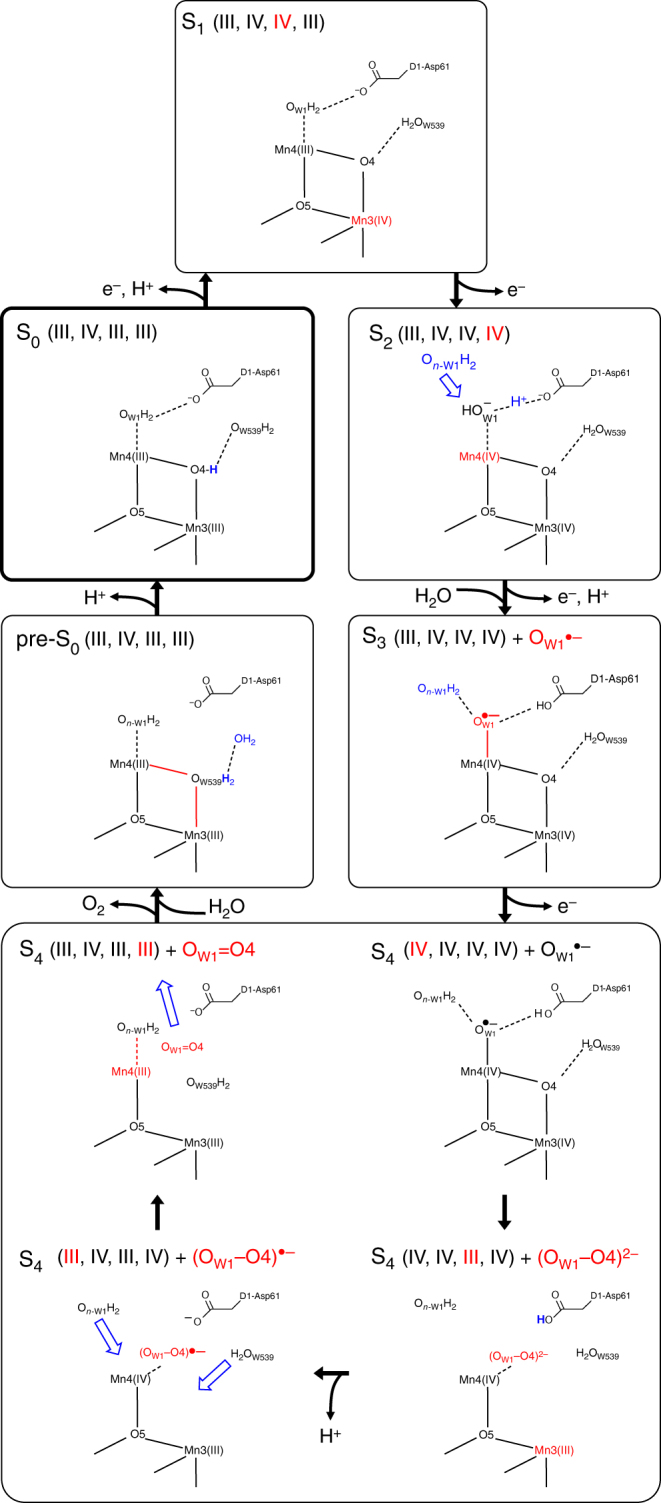 Fig. 8