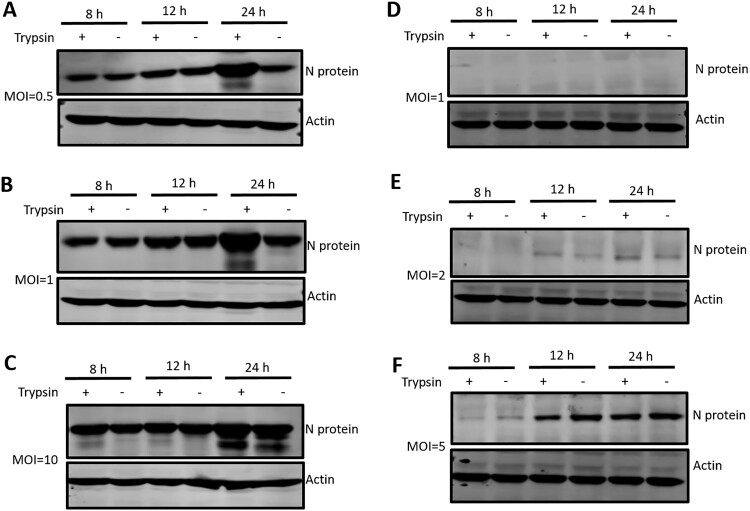 Figure 5.