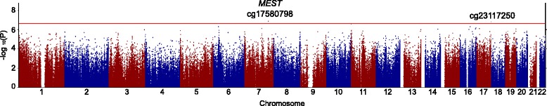 Fig. 1