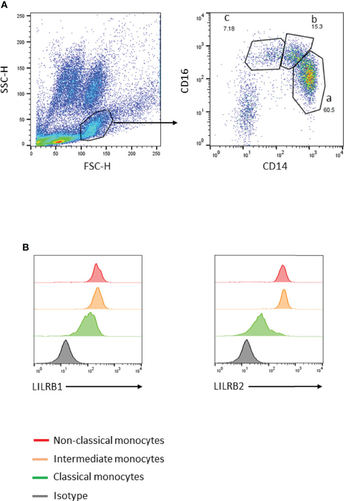 Figure 1